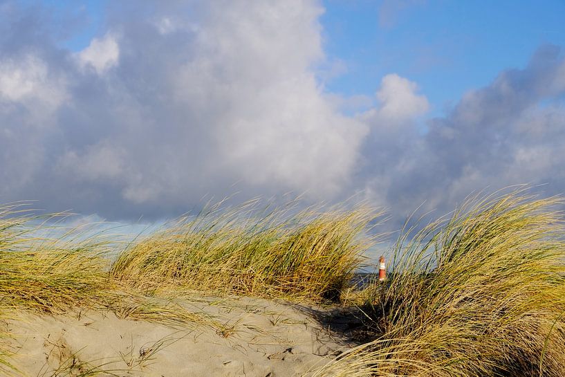Hidden behind dunes by Ostsee Bilder