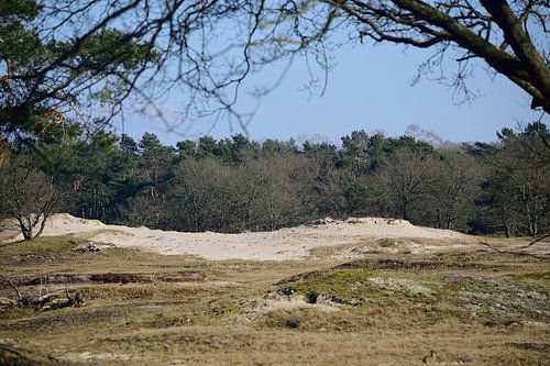 De natuur straalt