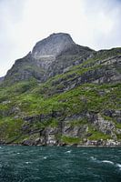 Berg bij de fjord