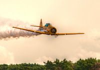Texan Lowpass