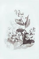 Flower with leaves in black and white