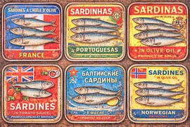 Tins of sardines from various countries