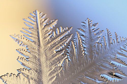 christmastime! ( ice -art)