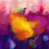 Color Dream van Maria Meester