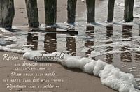 De zuiverende zee (2)