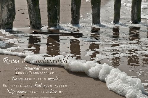 De zuiverende zee (2)