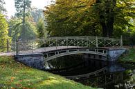 Passerelle piétonne au-dessus d'un canal dans le parc du château de Schwerin par une journée d'autom par Maren Winter Aperçu