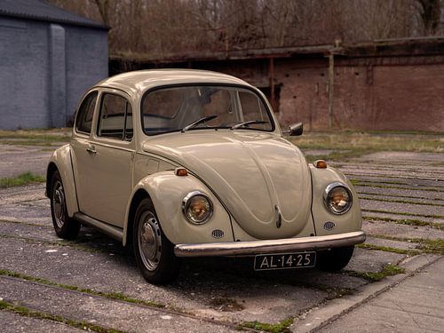 La coccinelle intemporelle de Volkswagen sur Robin Jongerden