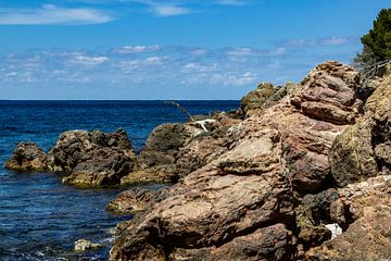 Kust bij de baai Cala Tuent op het Baleareneiland Mallorca van Reiner Conrad