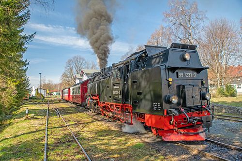 Die Selketalbahn bei der Ausfahrt aus dem Bahnhof Hasselfelde