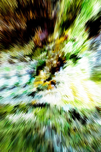 Art numérique