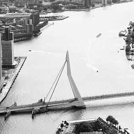 Rotterdam - Der Schwan (schwarz und weiß) von Clint Steegman