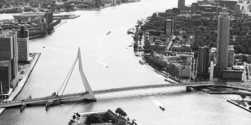 Rotterdam - De zwaan (zwart-wit) van Clint Steegman