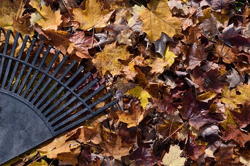 Een hark op herfstbladeren