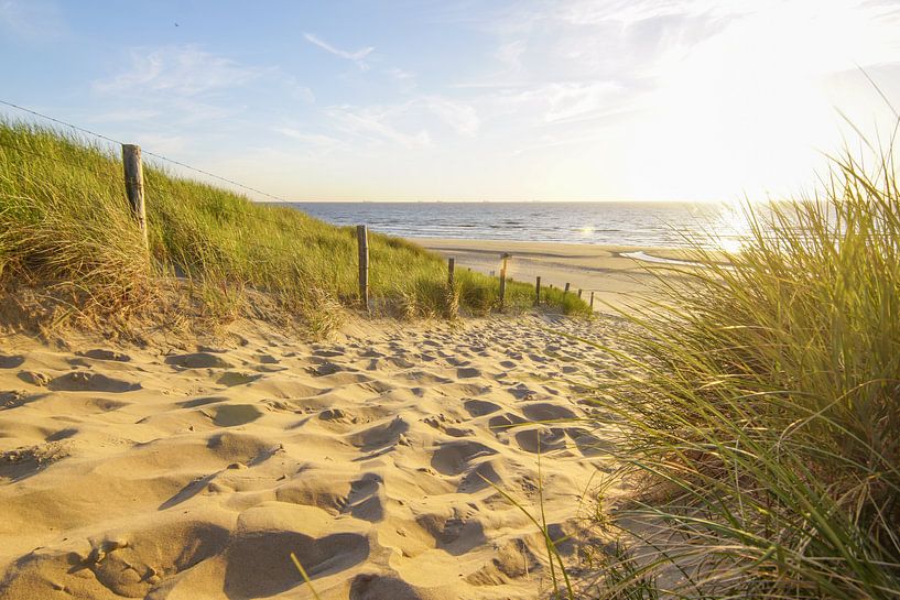 Strandleven! van Dirk van Egmond