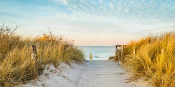 downwards ............