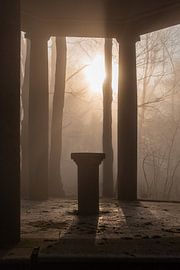 Wald Hohenstein3 von Lorant Petrik