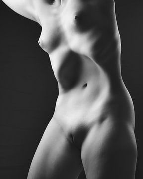 Nahaufnahme eines schönen nackten weiblichen Körpers #102 von william langeveld