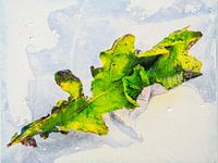Feuille d'arbre brûlée par le soleil 2, été 2023