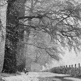 Winterlandschap in Nederland van Michel Van Zanten