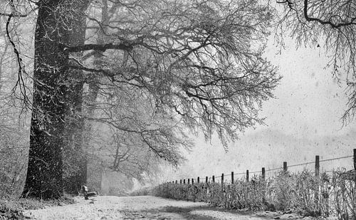 Winterlandschap in Nederland