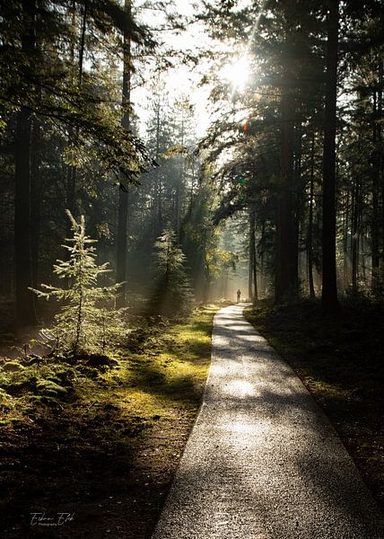 Mystic Forrest, Laufender Mann im Nebel von EFFEKTPHOTOGRAPHY.nl