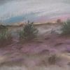 Bruyère à fleurs sur Ineke de Rijk