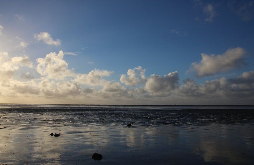 Weerspiegeling op het Wad par Aukje van der Wal