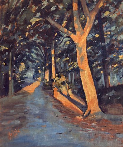 De laatste zonnestralen