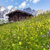 Mountain hut in flowering pasture by Coen Weesjes