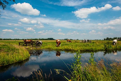 Niederländische Landschaften