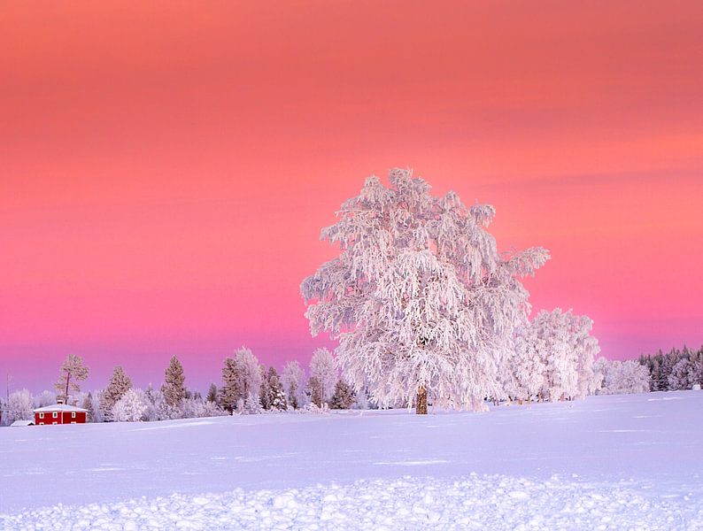 A sunset after a cold winter day in Sweden by Hamperium Photography