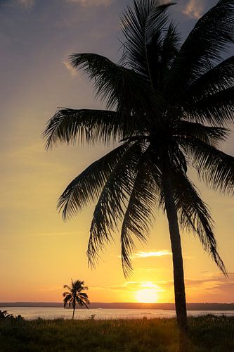 Tropischer Sonnenuntergang