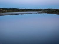 Stille über dem Vogelmeer
