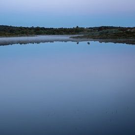Stille über dem Vogelmeer von Pim Weeda