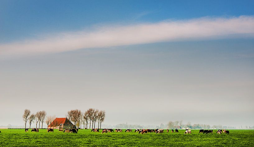 Friesisches Grünland von Harrie Muis