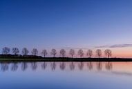 rangée d'arbres se reflétant dans l'eau par Arjan Keers Aperçu