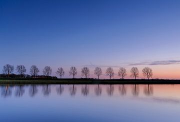 Tree reflection by Arjan Keers