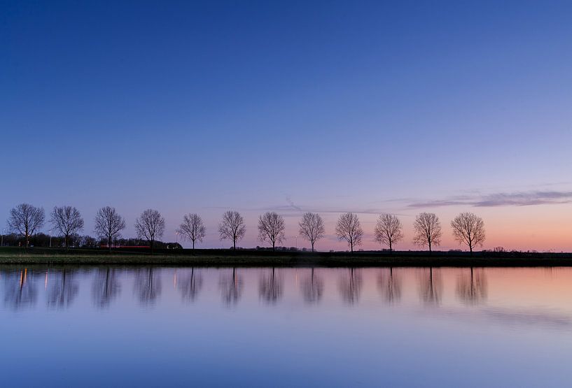 Baumreihe, die sich im Wasser spiegelt von Arjan Keers