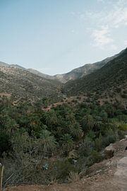 Paradise Valley No 3 by Loes Uijtdehaag