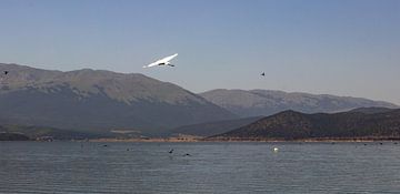 Pelikan über dem Prespa-See mit Bergen im Hintergrund von Edith Keijzer