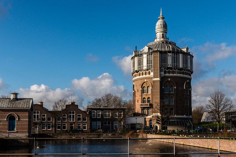 Rotterdam by Brian Morgan