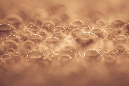 Extraterrestrial drops in soft red brown