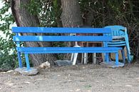 Bank mit Plastikstühlen unter Baum, Kerkini See von ADLER & Co / Caj Kessler Miniaturansicht
