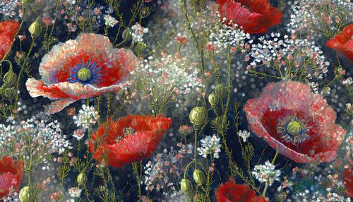 A Dutch summer of poppies and gypsophila