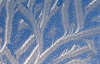Ice structures on frozen window.