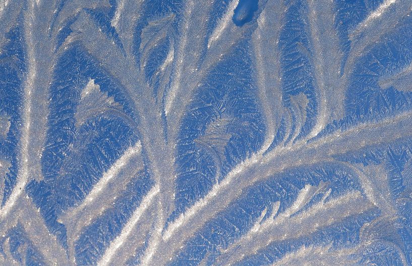 Eisstrukturen auf gefrorenem Fenster. von Albert Brunsting