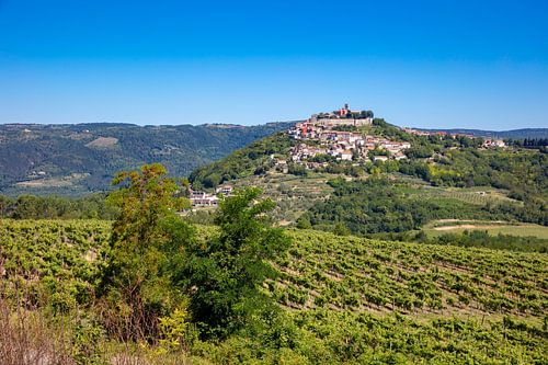 Zicht op Motovun in Kroatië
