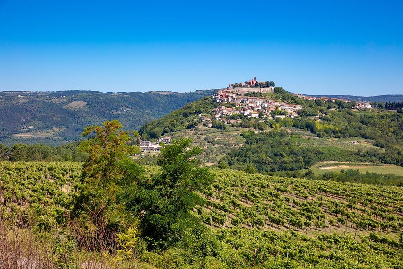 Vue de Motovun en Croatie par Joost Adriaanse