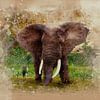 Olifant aan de oever in waterverf van Frans Gesell